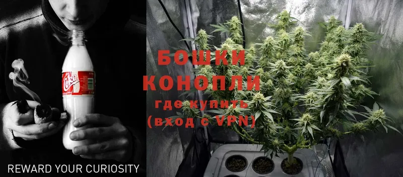 даркнет сайт  Асино  Конопля White Widow 